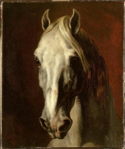 19 the-head-of-white-horse.jpg!Blog copy